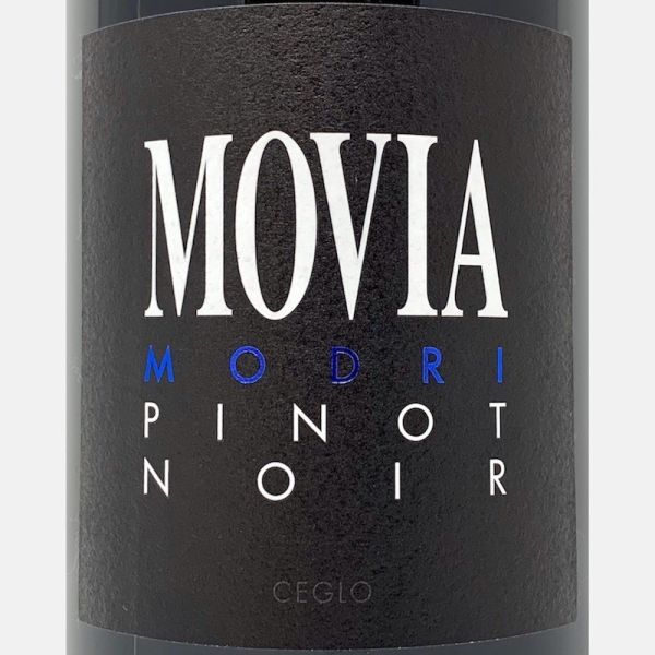 Pinot Noir Modri Brda ZGP 2012 Bio - Movia