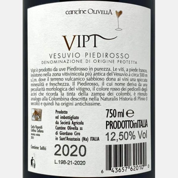 Vinho Verde 2019 – Casa de Vila Nova