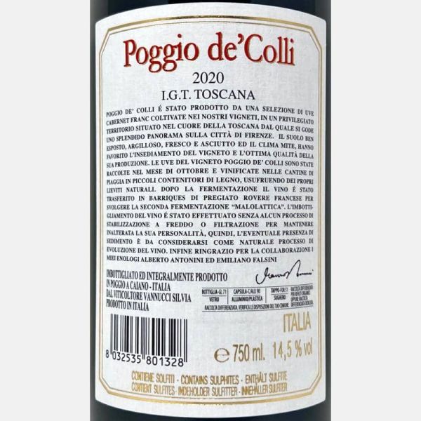 Pinot Grigio delle Venezie DOC 2022 - Borgo Molino - Weißwein - kaufen bei  Vinigrandi