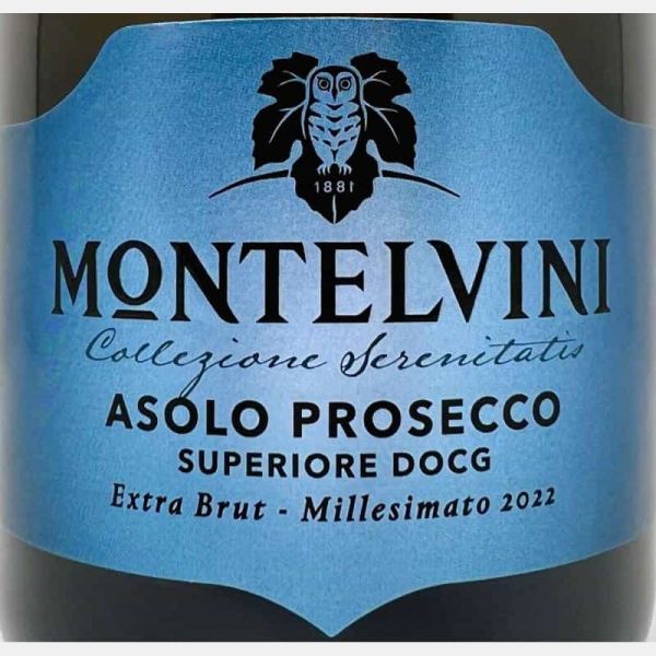 Prosecco Asolo Superiore Extra Brut Millesimato DOCG 2022 - Montelvini