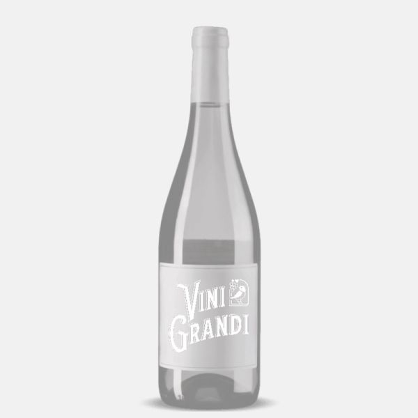 Champagne Blanc de Blancs Chouilly Grand Cru Extra Brut - Vazart Coquart & Fils