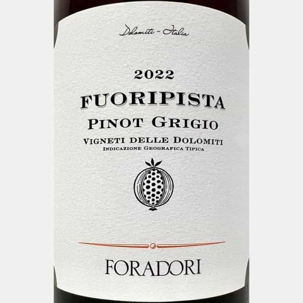 Pinot Grigio Fuoripista Vigneti delle Dolomiti IGT 2022 Bio - Elisabetta Foradori