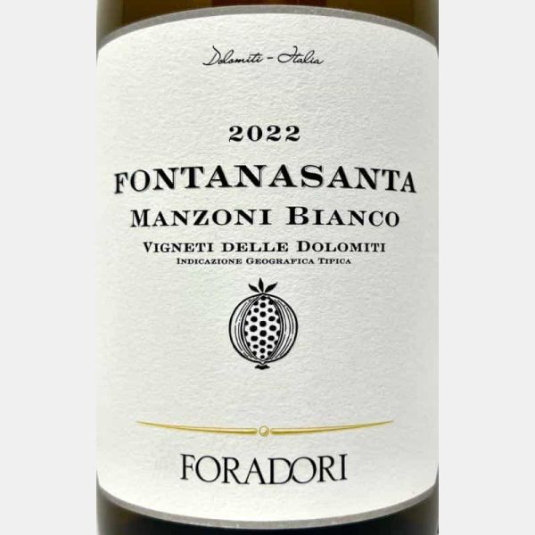Vorberg Pinot Bianco Riserva Alto Adige Terlano DOC 2019 - Kellerei Cantina Terlan