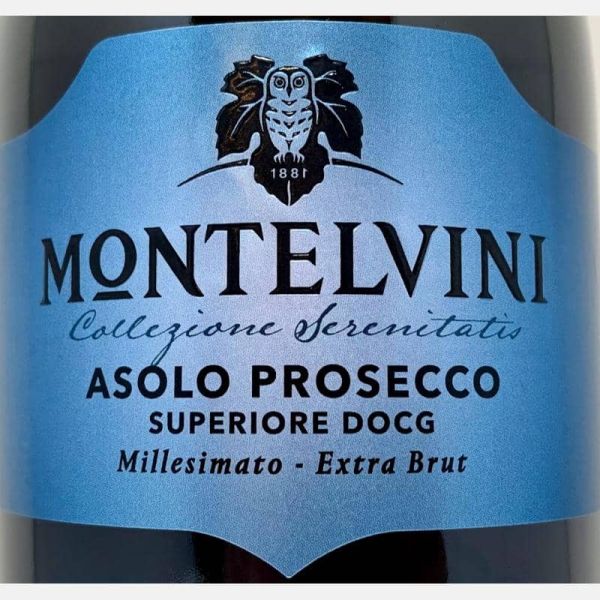 Prosecco Asolo Superiore Extra Brut Millesimato DOCG 2021 - Montelvini