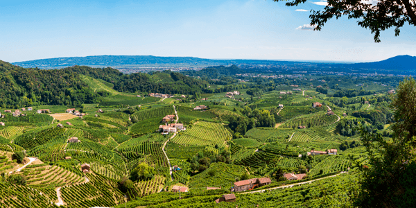 Veneto: Un viaggio nel cuore vitivinicolo poliedrico d\'Italia - Regione Vinicola Veneto: Tutto su Prosecco, Amarone e Soave | ViniGrandi.de