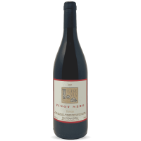 Pinot Nero Case Via Toscana IGT 2021 Bio - Fontodi