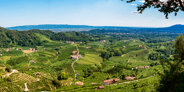 Veneto wine region