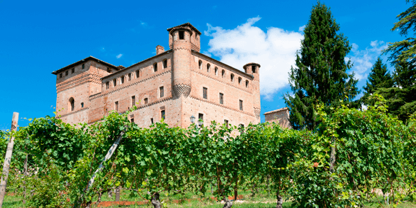 Weinanbaugebiet Piemont