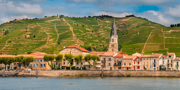 Das Weinanbaugebiet Côtes du Rhône
