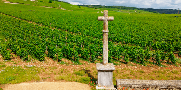 Bourgogne wine region