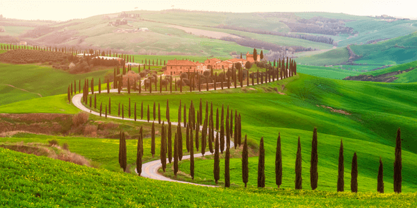 Wine-growing region of Tuscany - viticulture for more than 1,000 years